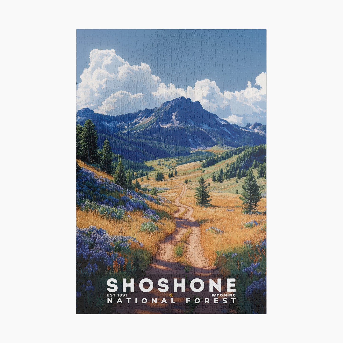 Shoshone National Forest Puzzle | S02