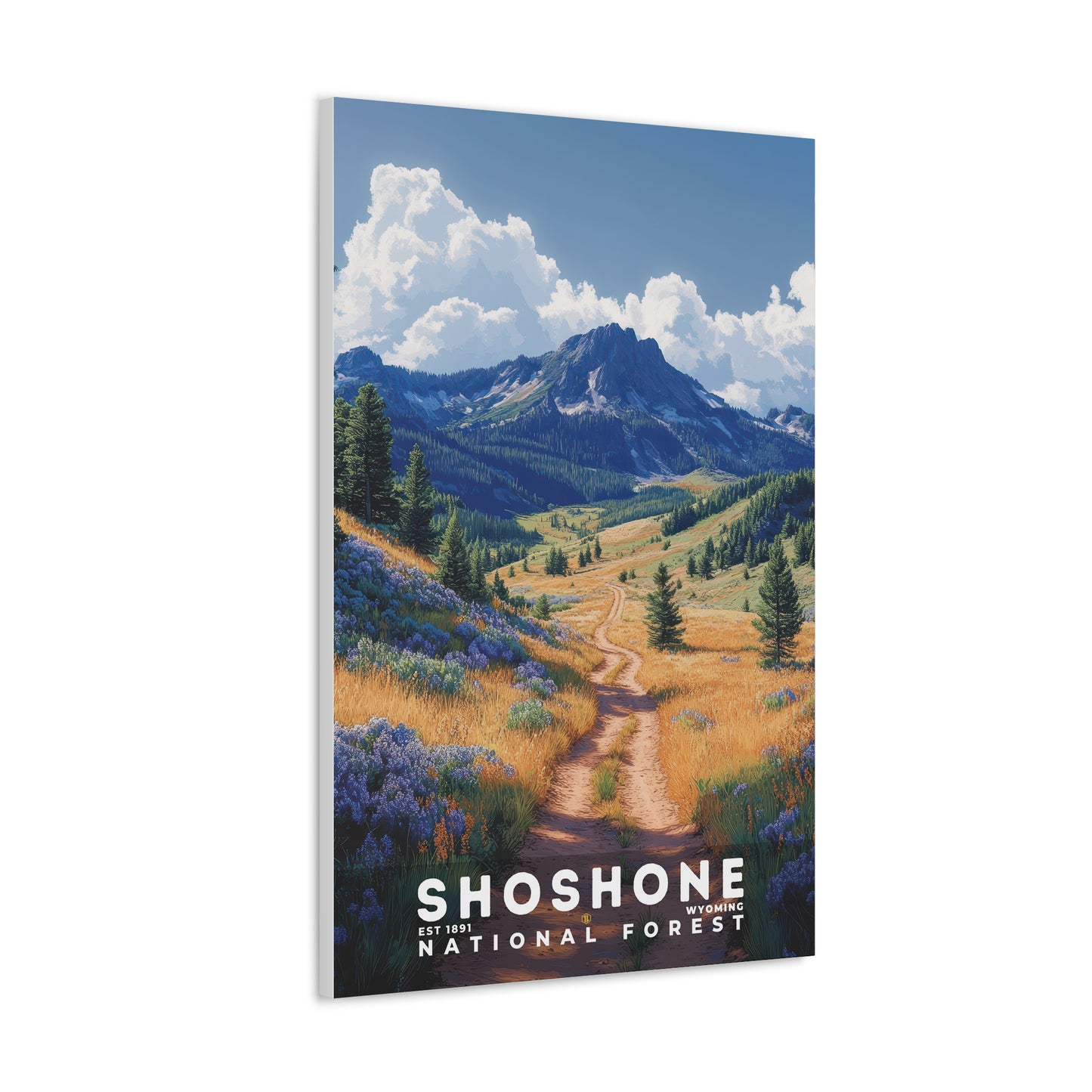 Shoshone National Forest Poster | S02