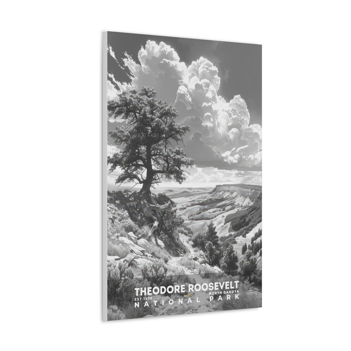 Theodore Roosevelt National Park Poster | S15