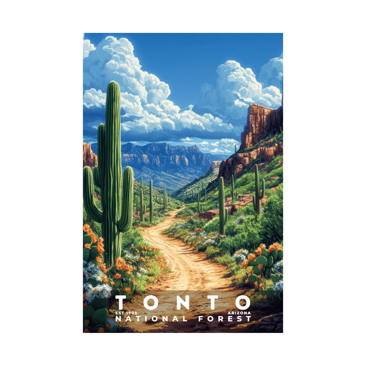 Tonto National Forest Poster | S02