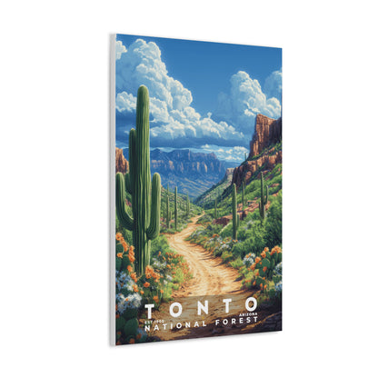 Tonto National Forest Poster | S02