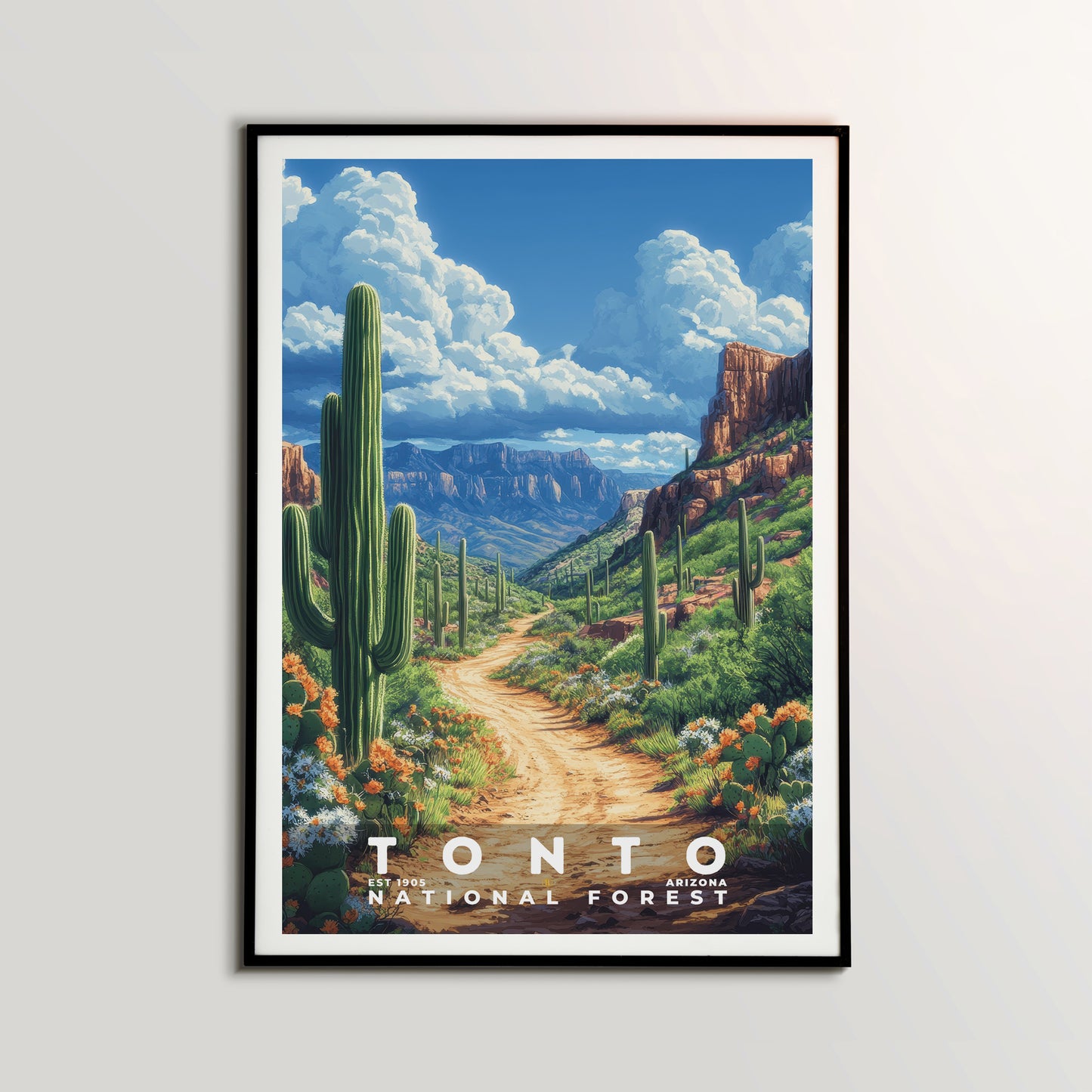 Tonto National Forest Poster | S02