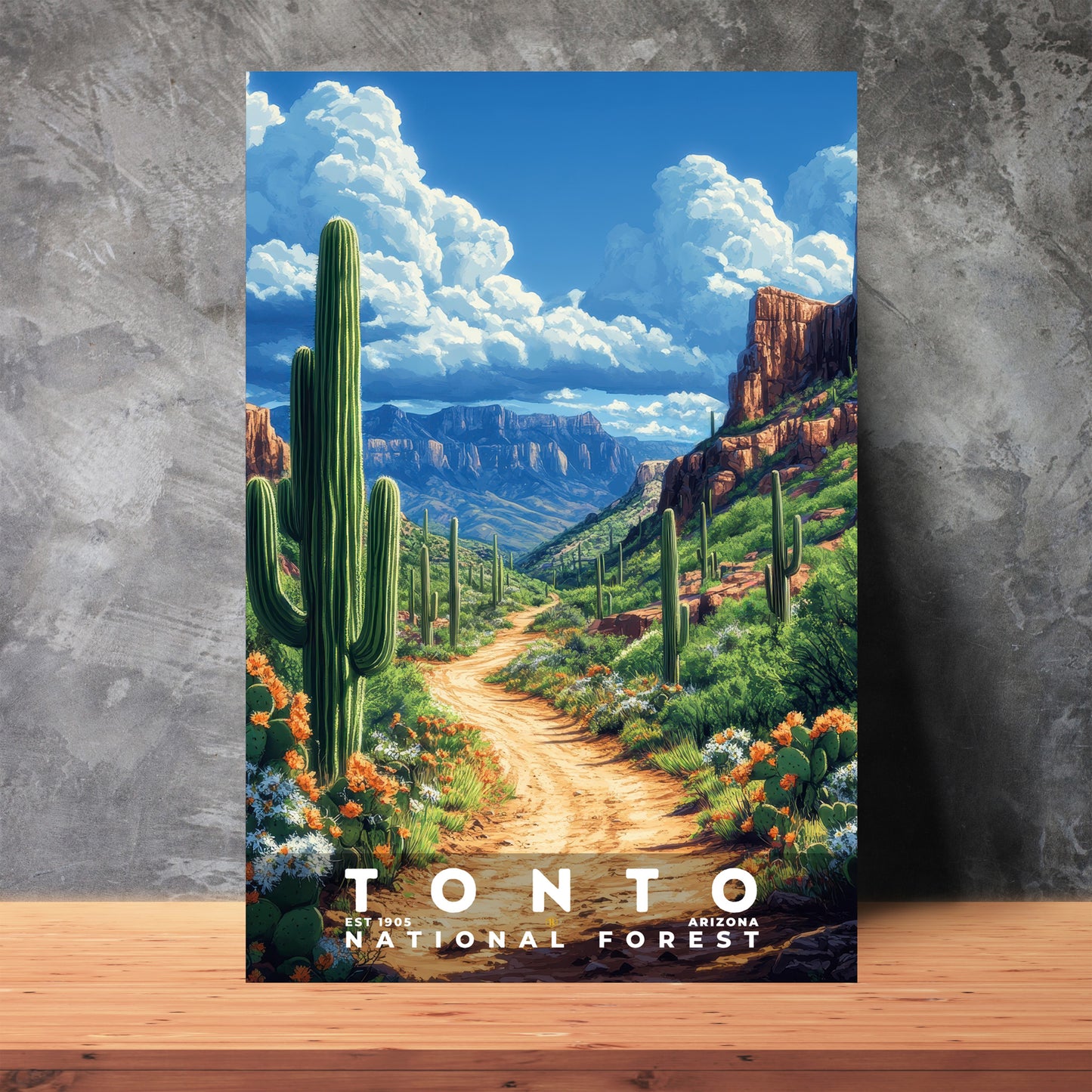 Tonto National Forest Poster | S02