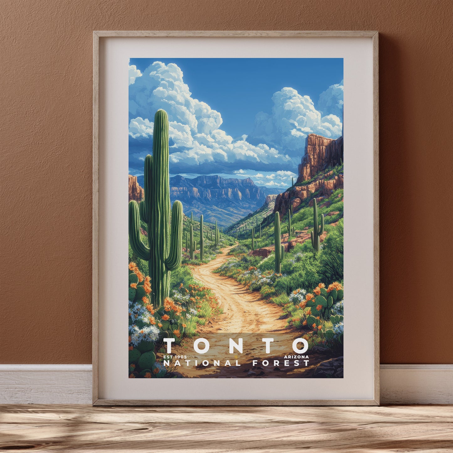 Tonto National Forest Poster | S02