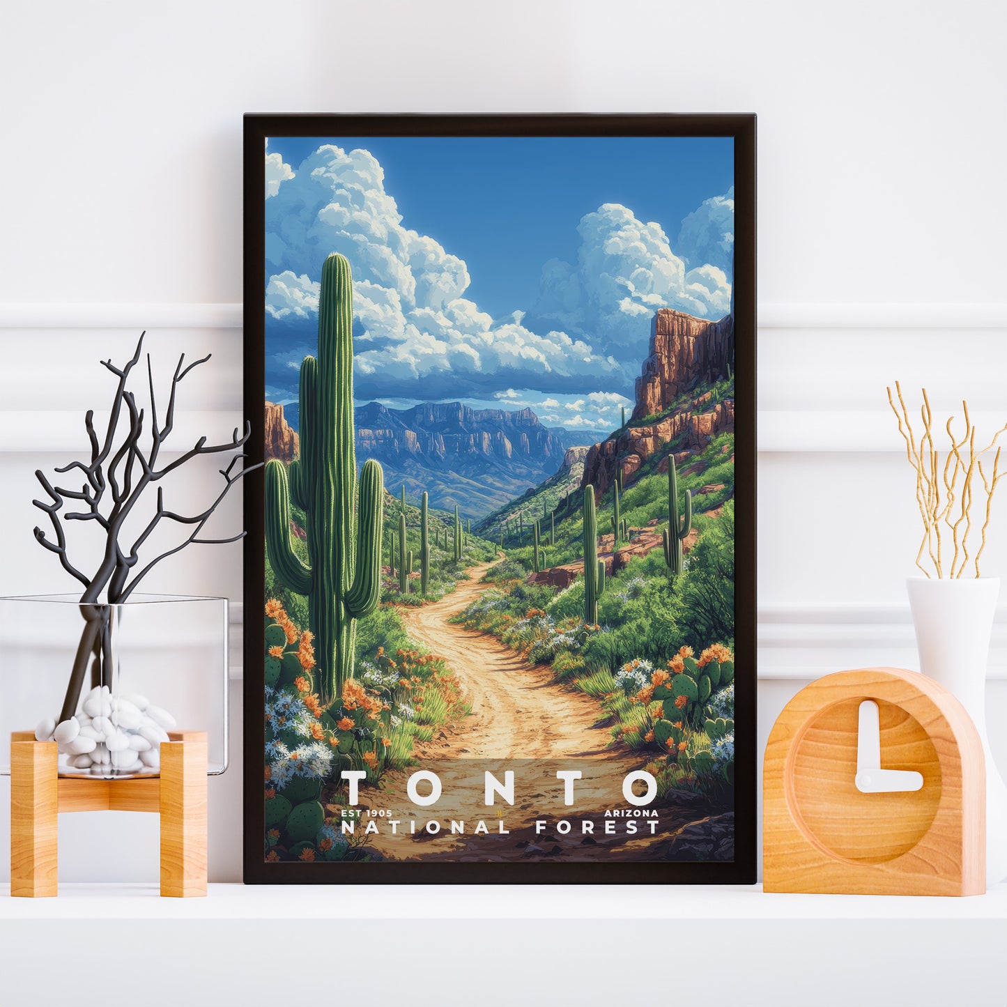 Tonto National Forest Poster | S02