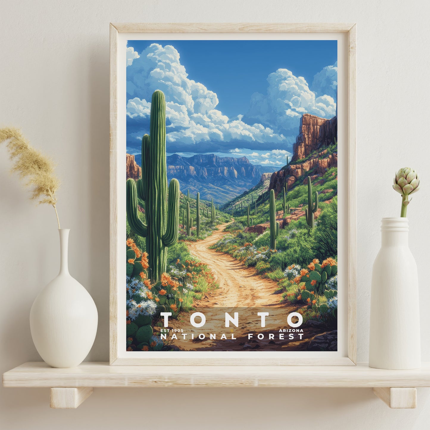 Tonto National Forest Poster | S02