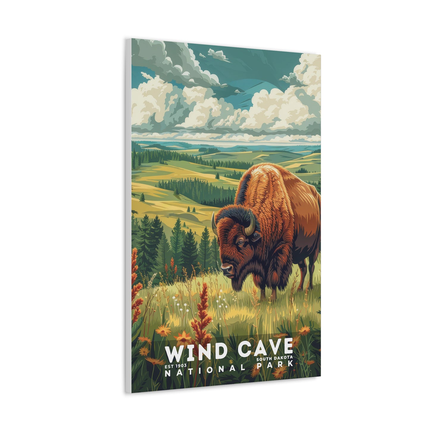 Wind Cave National Park Poster | S11