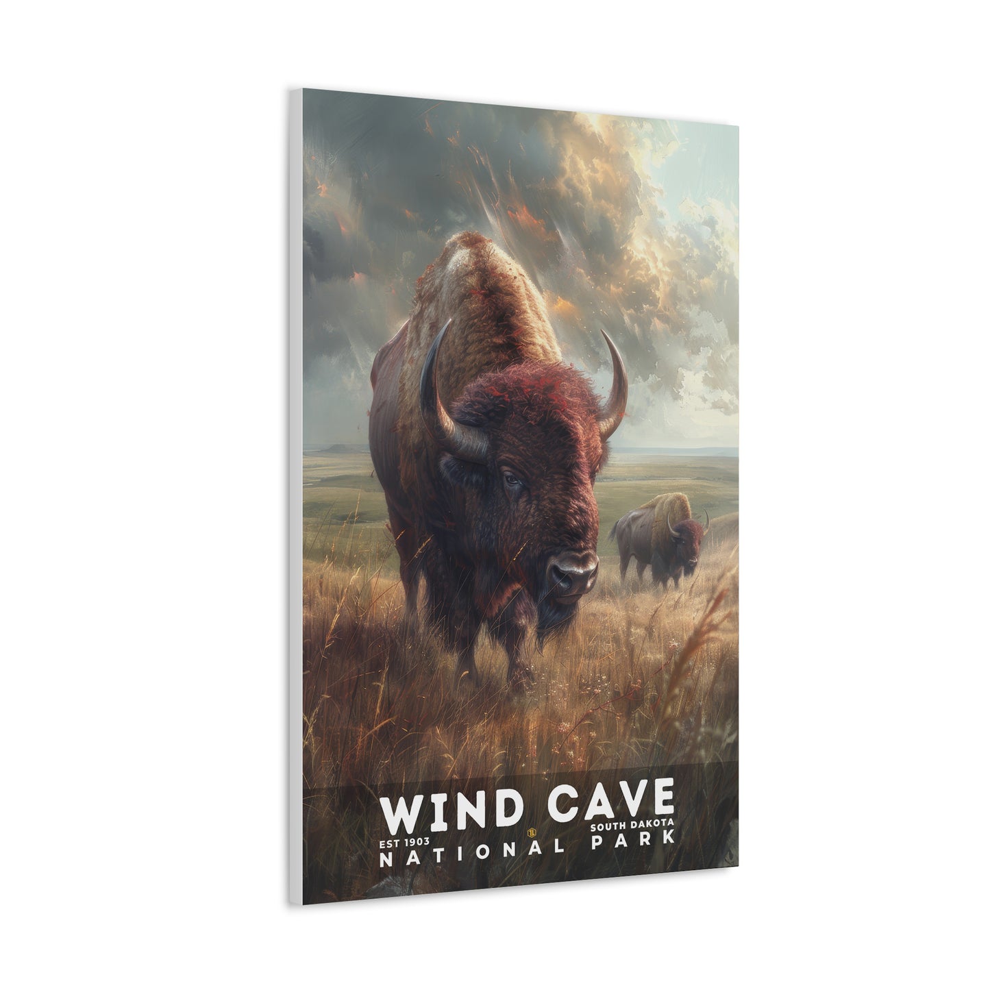 Wind Cave National Park Poster | S12