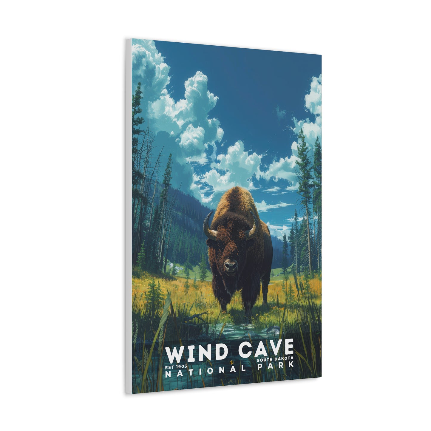 Wind Cave National Park Poster | S13