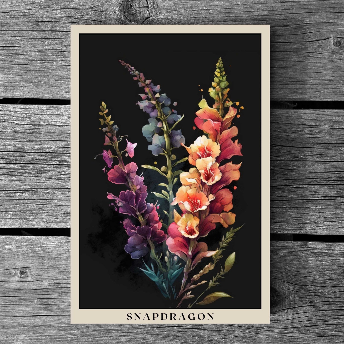 Snapdragon Poster | S01