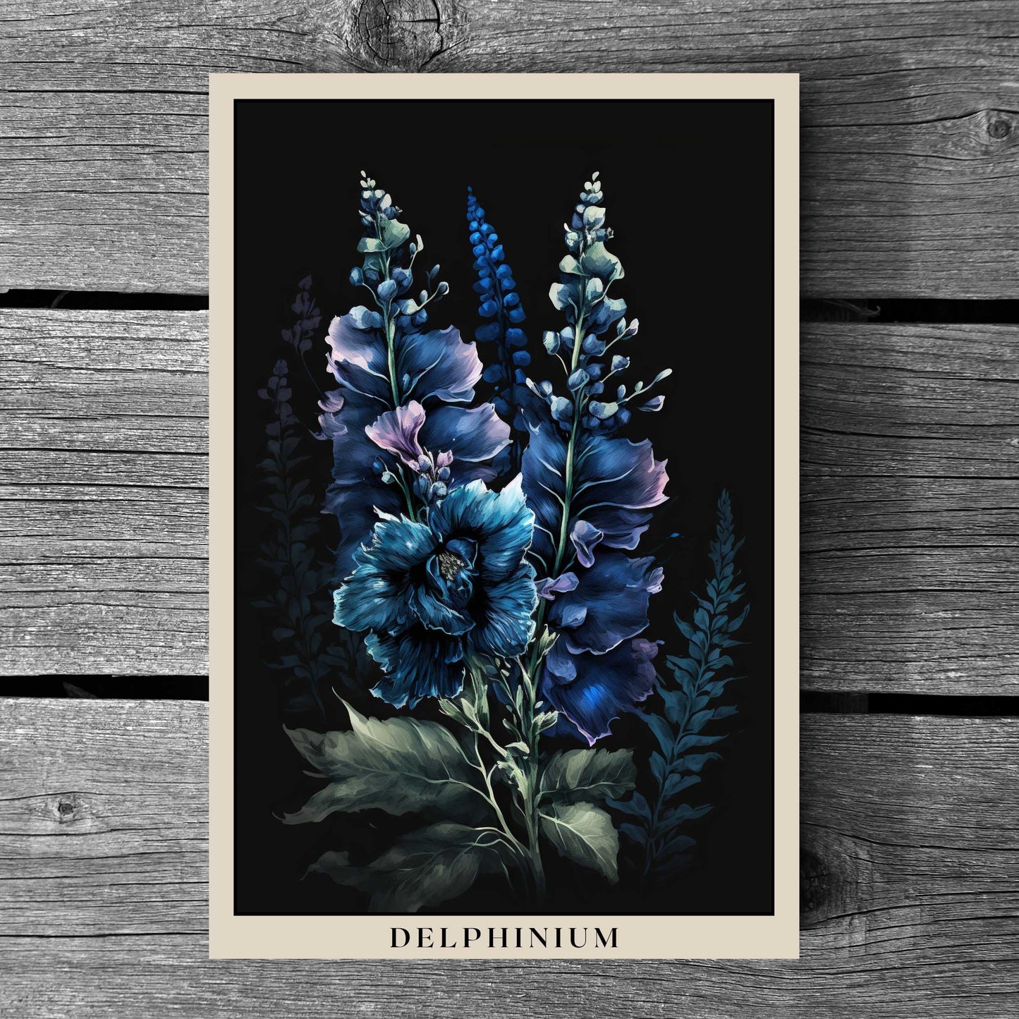 Delphinium Poster | S01