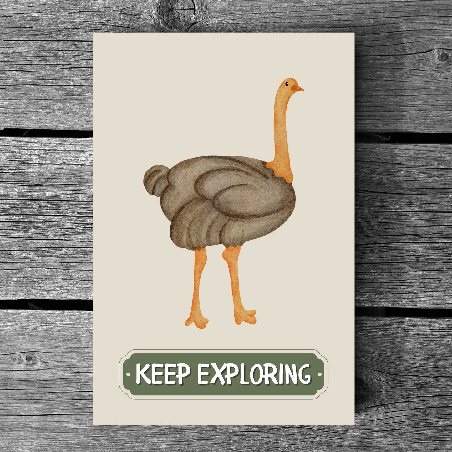 Keep Exploring Ostrich Poster | S01