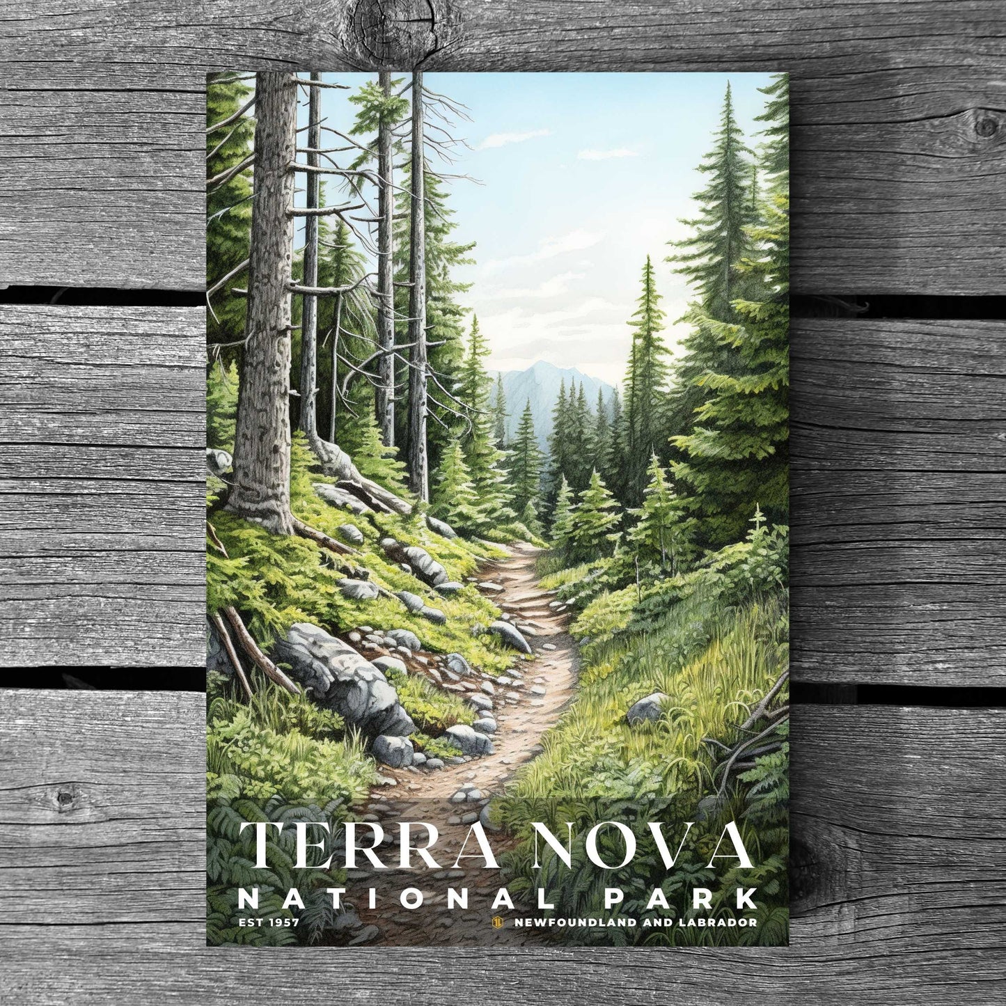 Terra Nova National Park Poster | S02