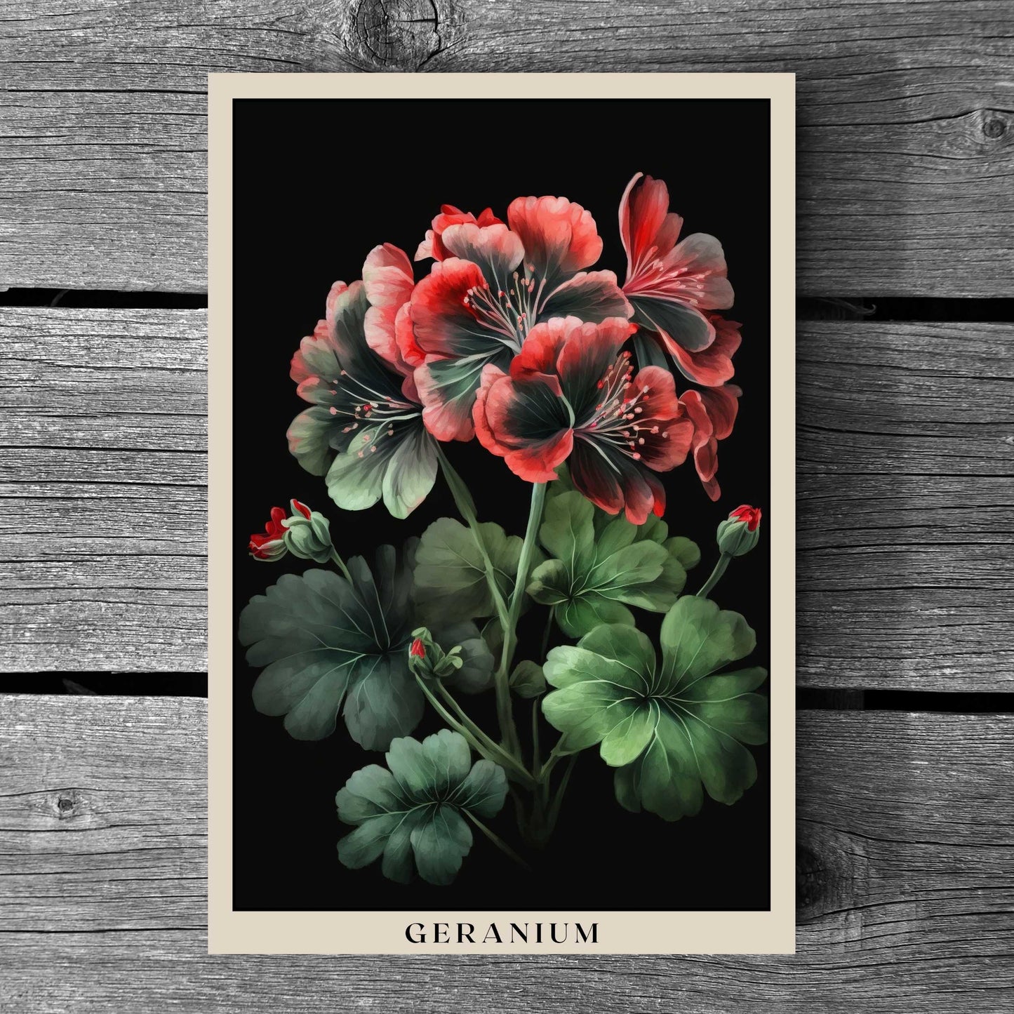 Geranium Poster | S01