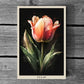 Tulip Poster | S01