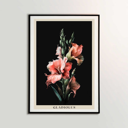 Gladiolus Poster | S01