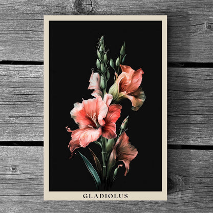 Gladiolus Poster | S01