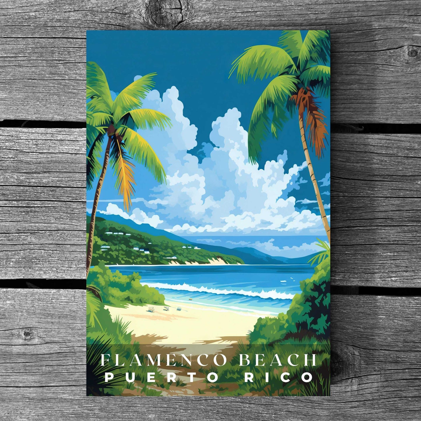 Flamenco Beach Poster | S01