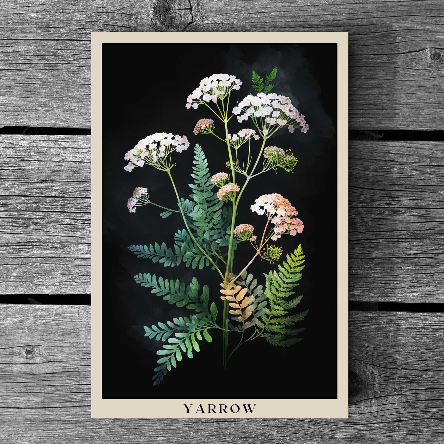 Yarrow Poster | S01