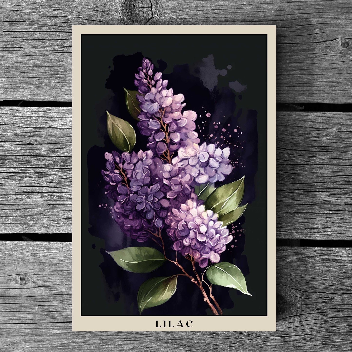 Lilac Poster | S01
