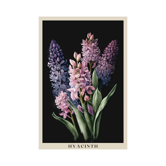 Hyacinth Poster | S01