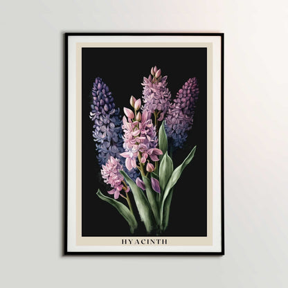 Hyacinth Poster | S01