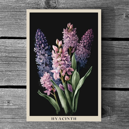 Hyacinth Poster | S01