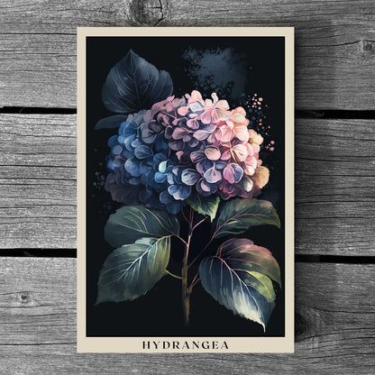 Hydrangea Poster | S01