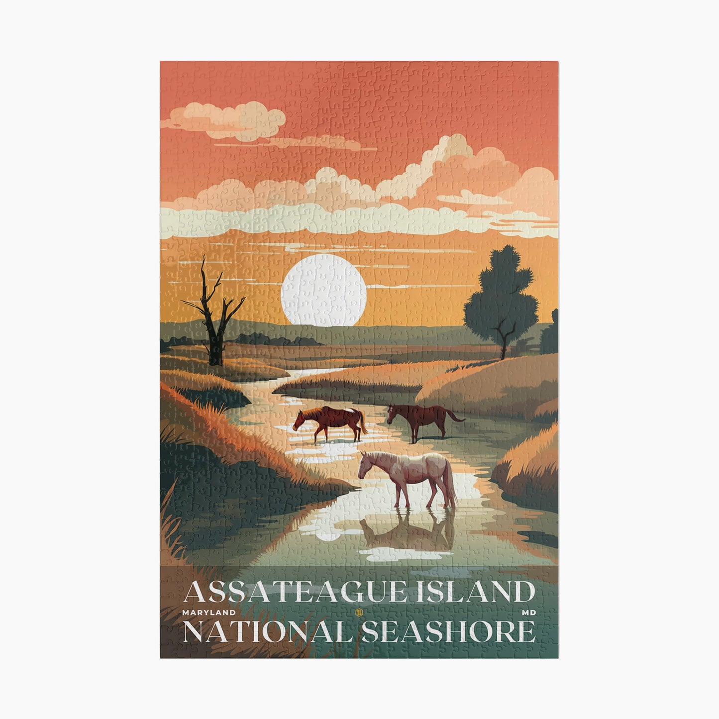 Assateague Island National Seashore Puzzle | US Travel | S01