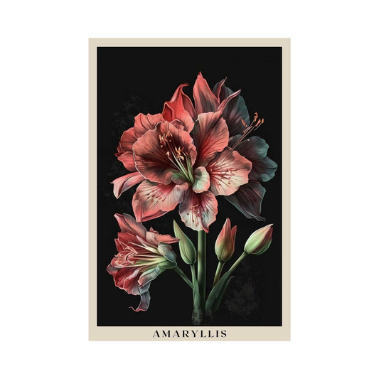 Amaryllis Poster | S01