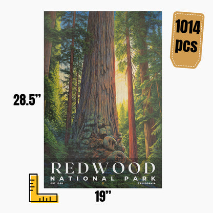 Redwood National and State Parks Puzzle | S02