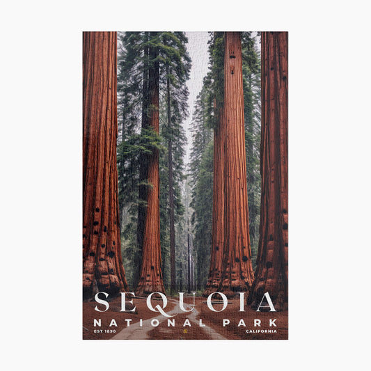 Sequoia National Park Puzzle | S10