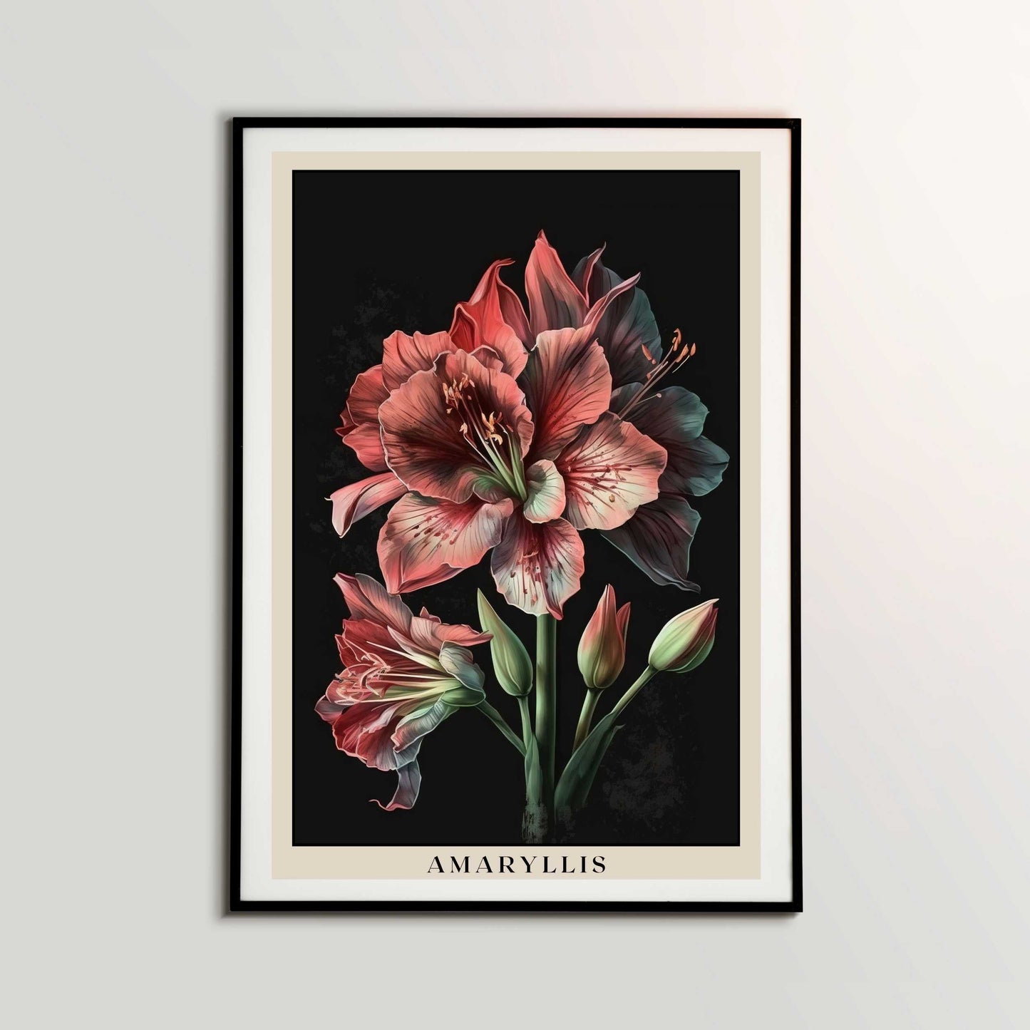 Amaryllis Poster | S01