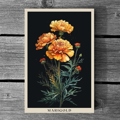 Marigold Poster | S01