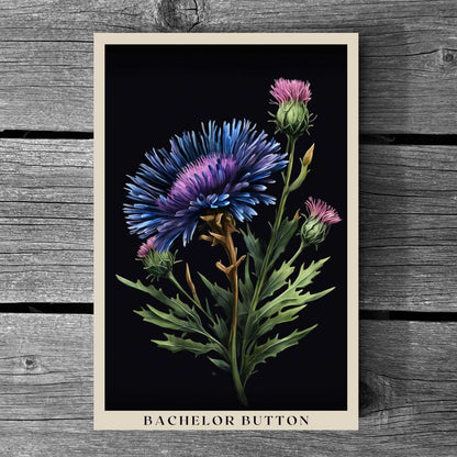 Bachelor Button Poster | S01