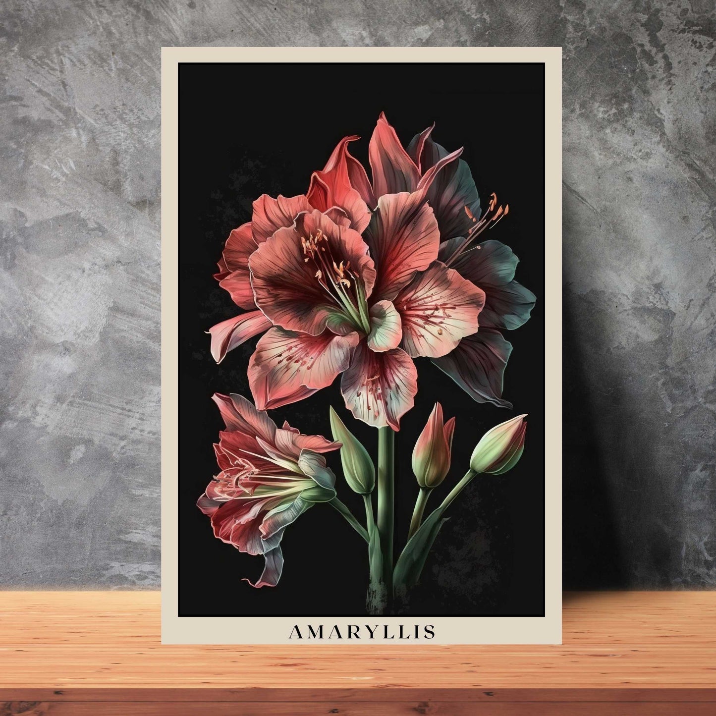 Amaryllis Poster | S01