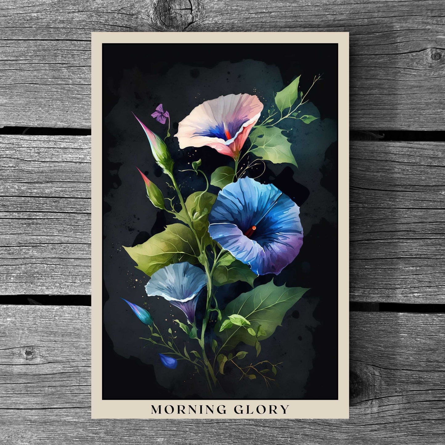 Morning Glory Poster | S01