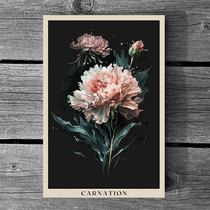 Carnation Poster | S01