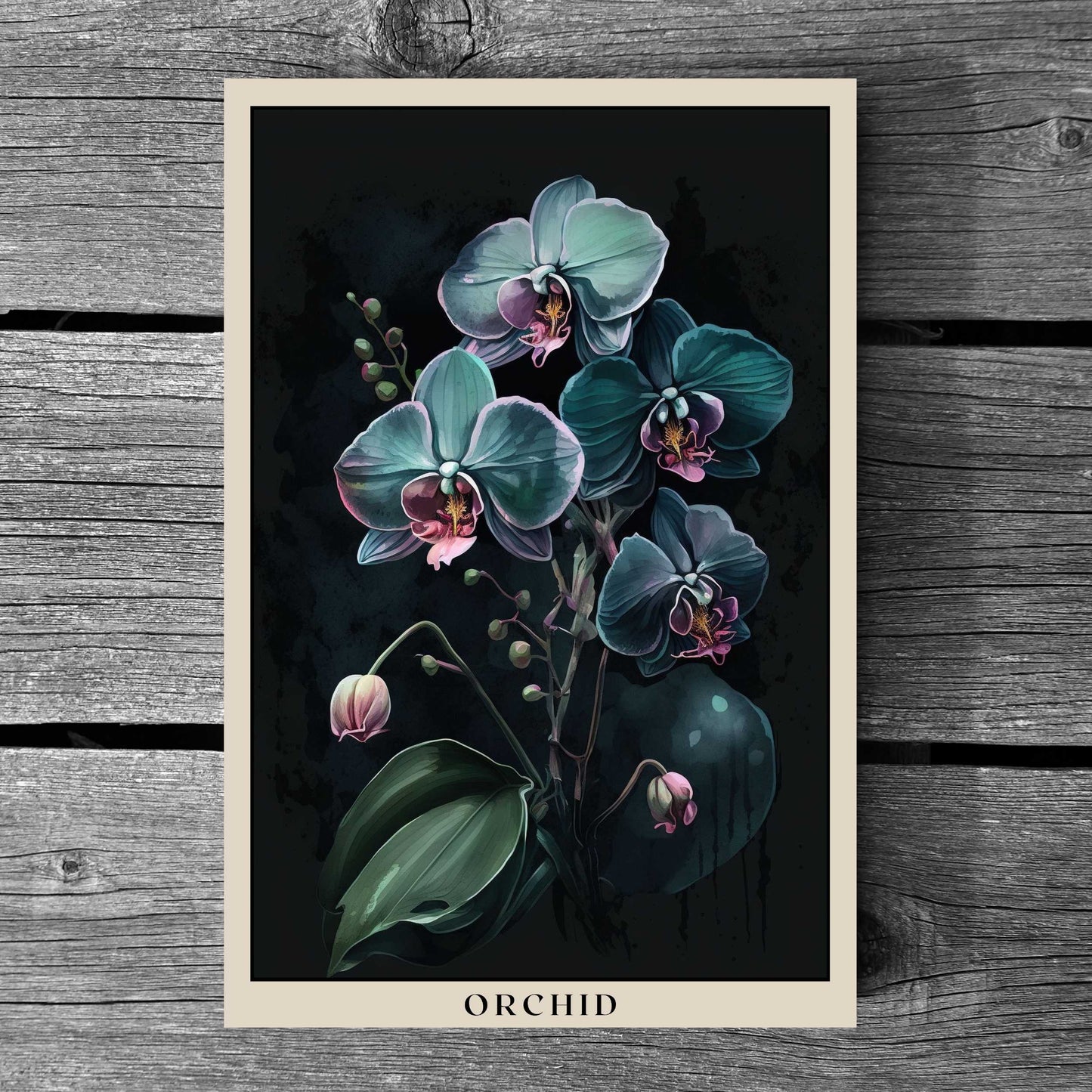 Orchid Poster | S01