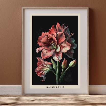 Amaryllis Poster | S01