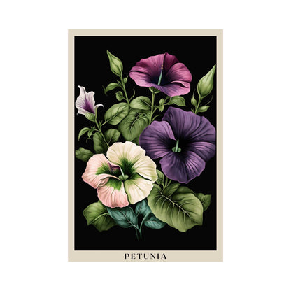 Petunia Poster | S01