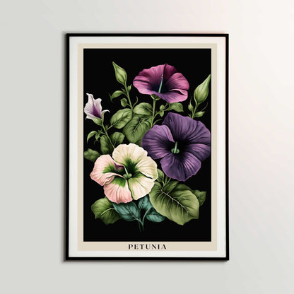 Petunia Poster | S01