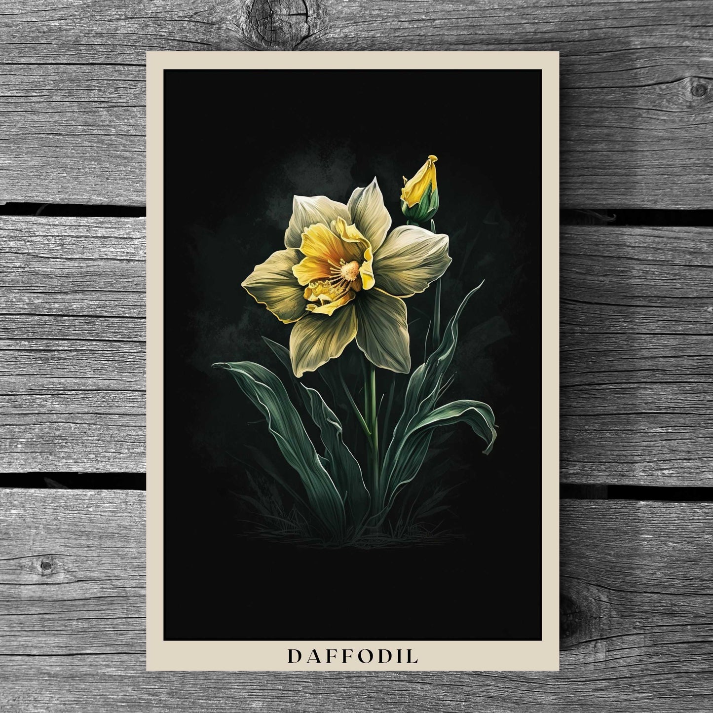 Daffodil Poster | S01
