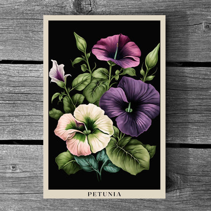 Petunia Poster | S01