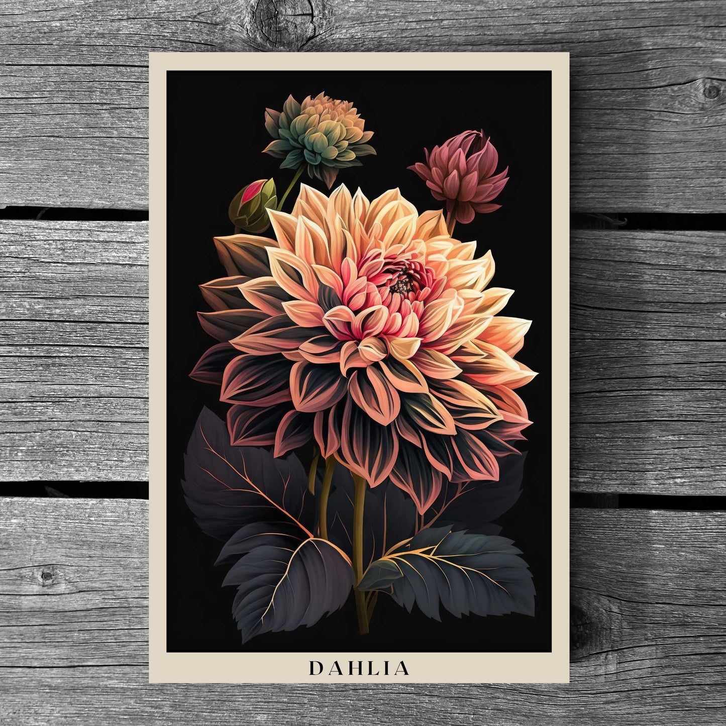 Dahlia Poster | S01